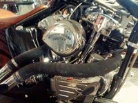 rat bike & rod 4.jpg