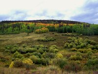 creede trip 5.jpg