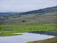 creede trip 5a.jpg