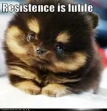 funny-dog-pictures-resistence-is-futile.webp