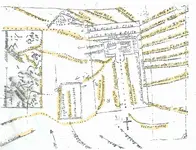 older map of Tayopa.webp