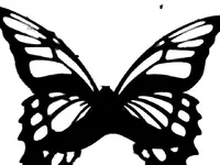 51 butterfly.webp