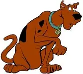 scooby1.webp