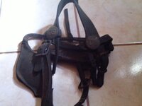 horsegear_rosette_US_harness-and-blinders_ironback-US-rosettes_Indian-Wars_TN_photobyPatriot474.jpg