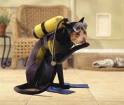 scuba-cat.jpg