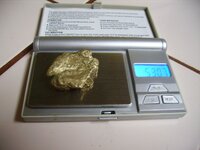 Nugget_Scale.JPG