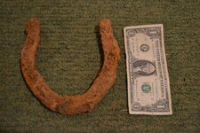 horse shoe 1.JPG