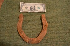 horse shoe 2.JPG