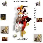 jokers-wild-94.webp