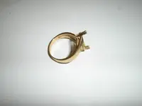 Gold Ring in garbage.webp