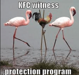 KFCwitnessprotection.png