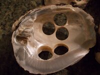 Shells 002.JPG