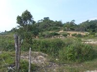 Imagenes parcela sabana 04.jpg