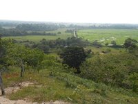 Imagenes parcela sabana 07.jpg