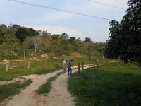 Imagenes parcela sabana 11.jpg