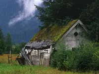 Shed in Field.webp