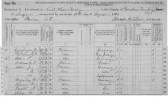 1870 United States Census, Yavapai County, Territory of Arizona p1.webp