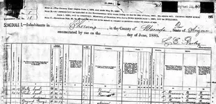 1880 United States Census, Maricopa County, Territory of Arizona, p3.webp