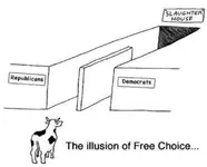 The Illusion of Free Choice democrats republicans.webp