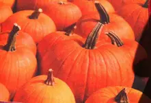 Pumpkin mat.webp