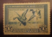 duck stamp.jpg