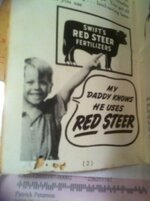 red steer pg 2.jpg