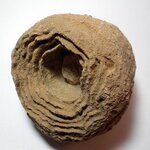 Moroccan-Concretion.jpg