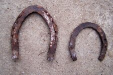 horse shoes.jpg