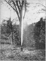 Fig-5-One-of-the-several-spouting-springs-in-Geyser-Park.jpg