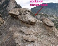 rocks-on-turtles-back2.jpg