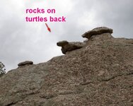 rocks-on-turtles-back 3.jpg