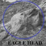 Eagle head.webp