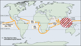 Coconut Migration.gif