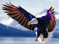 American-Flag-Eagle.webp