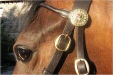 bridle rosette.jpg