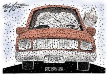 Florida-Lovebug-Cartoon.jpg