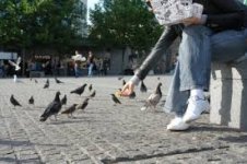 feeding pigeons.jpg