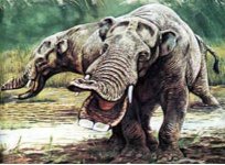 Gomphotheres.jpg