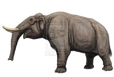 Sinomastodon_by_dibgd-d4q4ibg.jpg