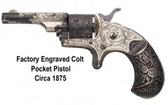 ColtFactoryEngravedPocketPistol.jpg