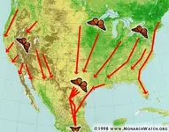 MOBU-migration-map.webp