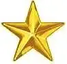 ZZZ - Gold Star.webp