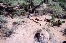 QCU soldiers grave.JPG