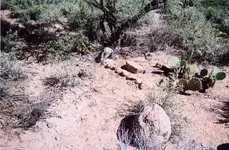 QCU soldiers grave.webp