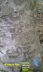 Sign Tree (2).jpg