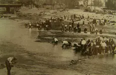 panning on cherry creek.webp