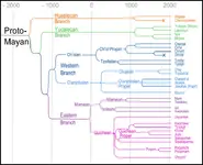 Mayan_Language_Tree_in_colour.webp