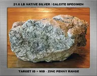 21.6 LB ACIDIFIED SILVER SPECIMEN SF.webp