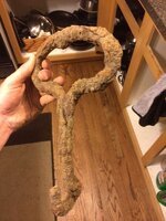 Is it a hay hook? Ice hook? Meat hook?  TreasureNet 🧭 The Original  Treasure Hunting Website