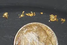 Gold From Prospecting 2.webp